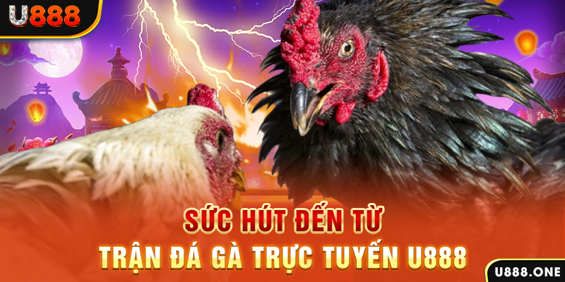 sunwin uk hòn gà chọi