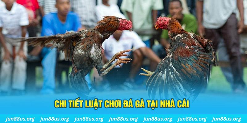 sunwin uk đá gà campuchia