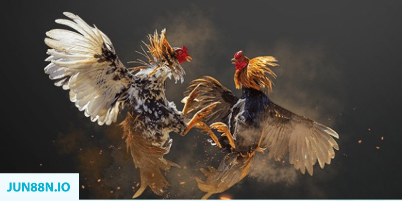 sunwin uk đăng nhập sòng bạc miễn phí