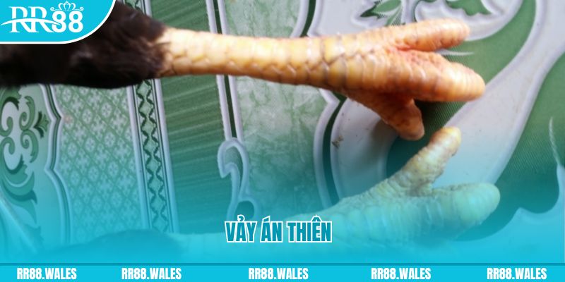 sunwin uk who wants to be a millionaire slot