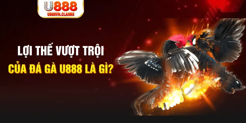 sunwin uk 888 slot là gì